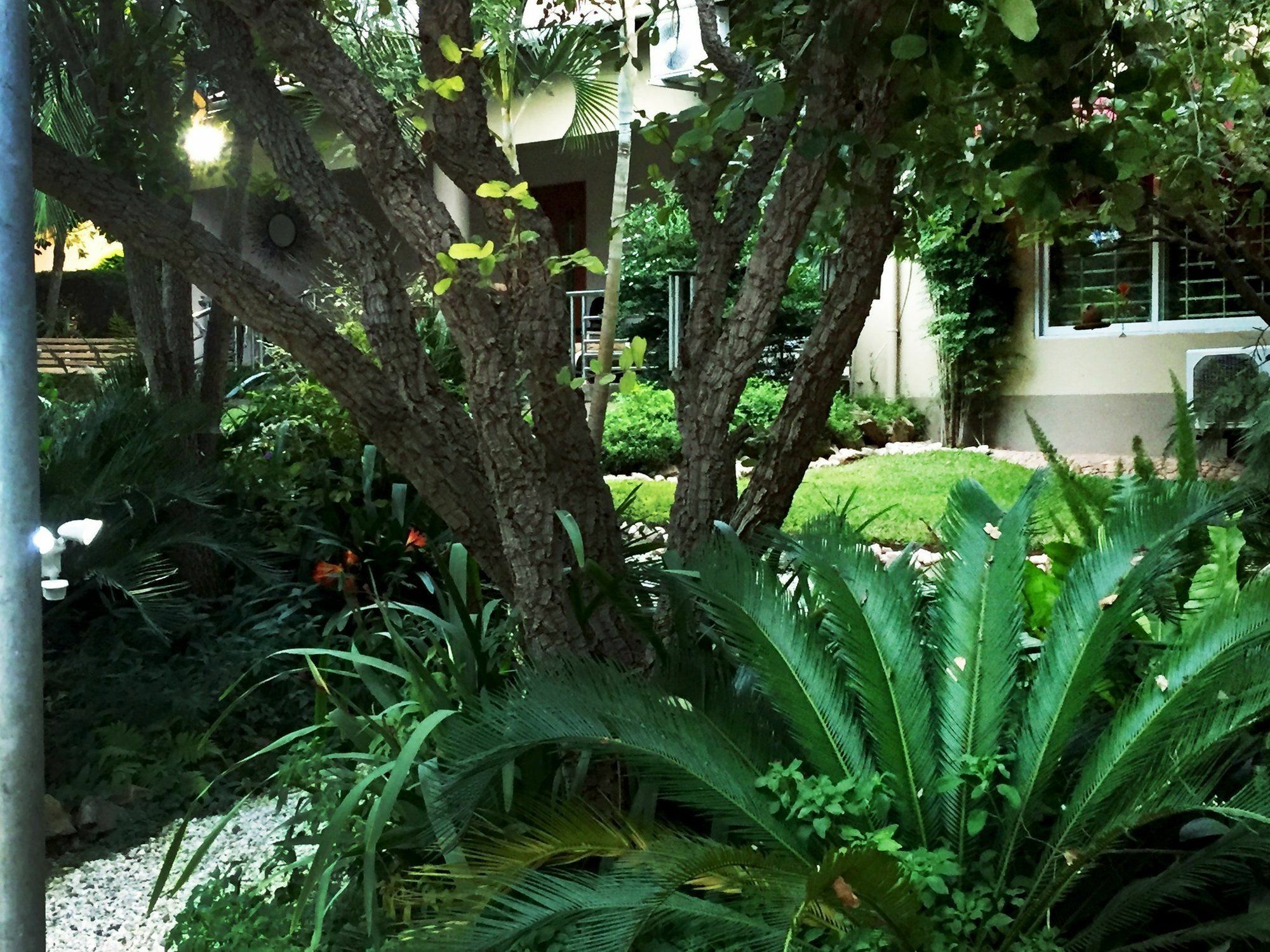 Palmwood Lodge Lusaka Eksteriør bilde